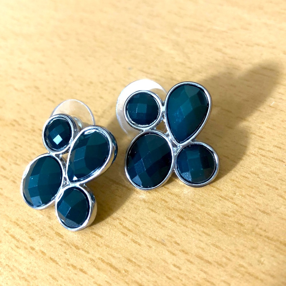 Charming Charlie Smoky Blue/Green Earrings